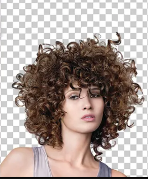 this is a before sample image of our hairmasking service